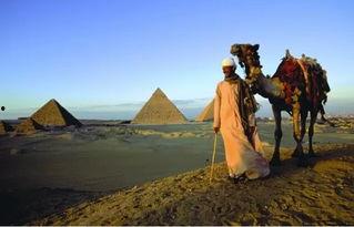 外国人爆料埃及视频