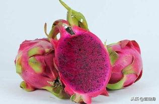 小火龙果爆料视频下载,带你一探究竟